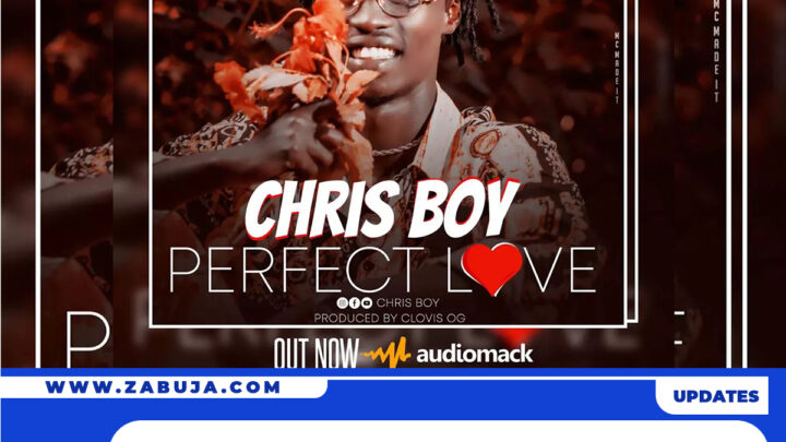 AUDIO | Chris Boy – Perfect Love | Download
