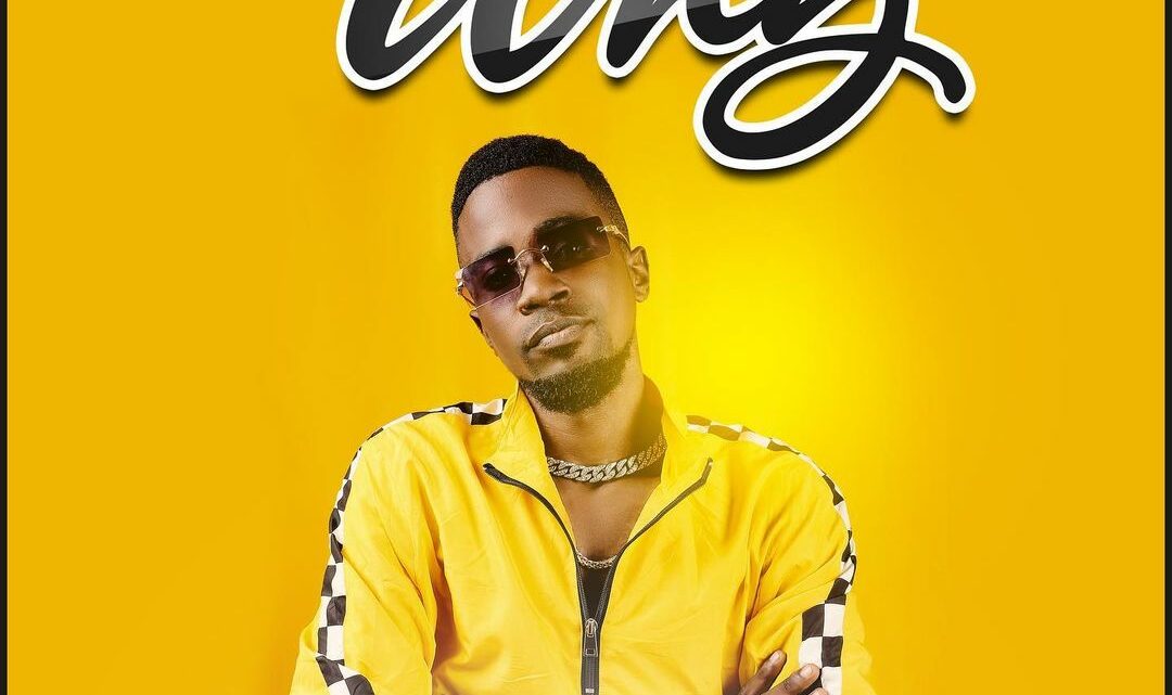 AUDIO | MB Data – Why | Download