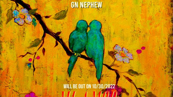 AUDIO | Gn Nephew – Mi Amor | DOWNLOAD