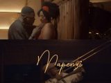 VIDEO NSHASHA | Vichou Love – Mapeni | Download